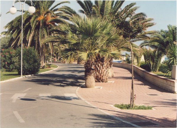 Pista pedonale ciclabile